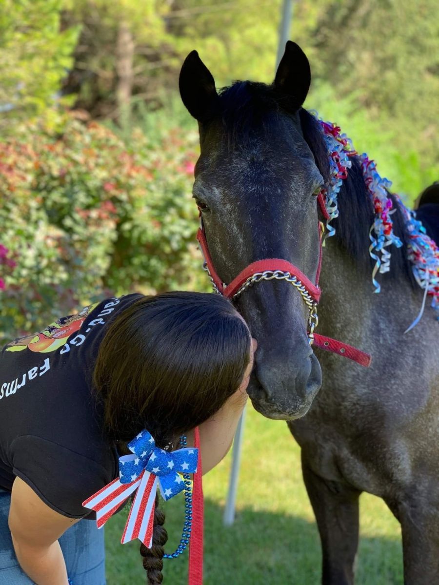 Long Island Pony Parties & Petting Zoo Images