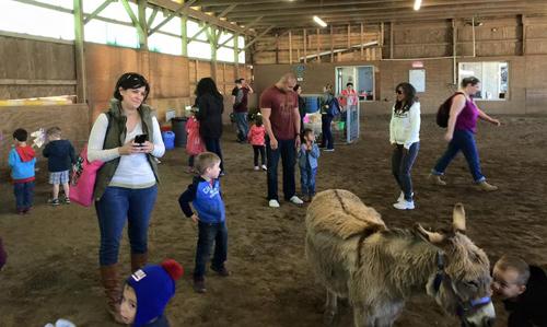 Long Island Pony Parties & Petting Zoo Images