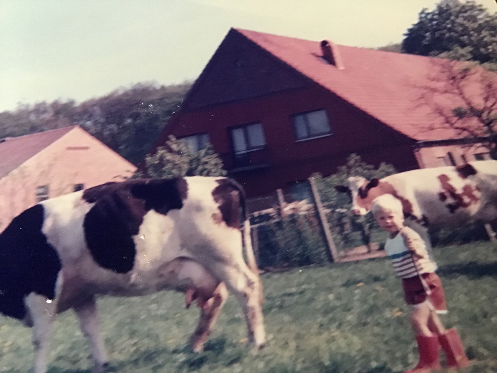 LI Pony Owner Image