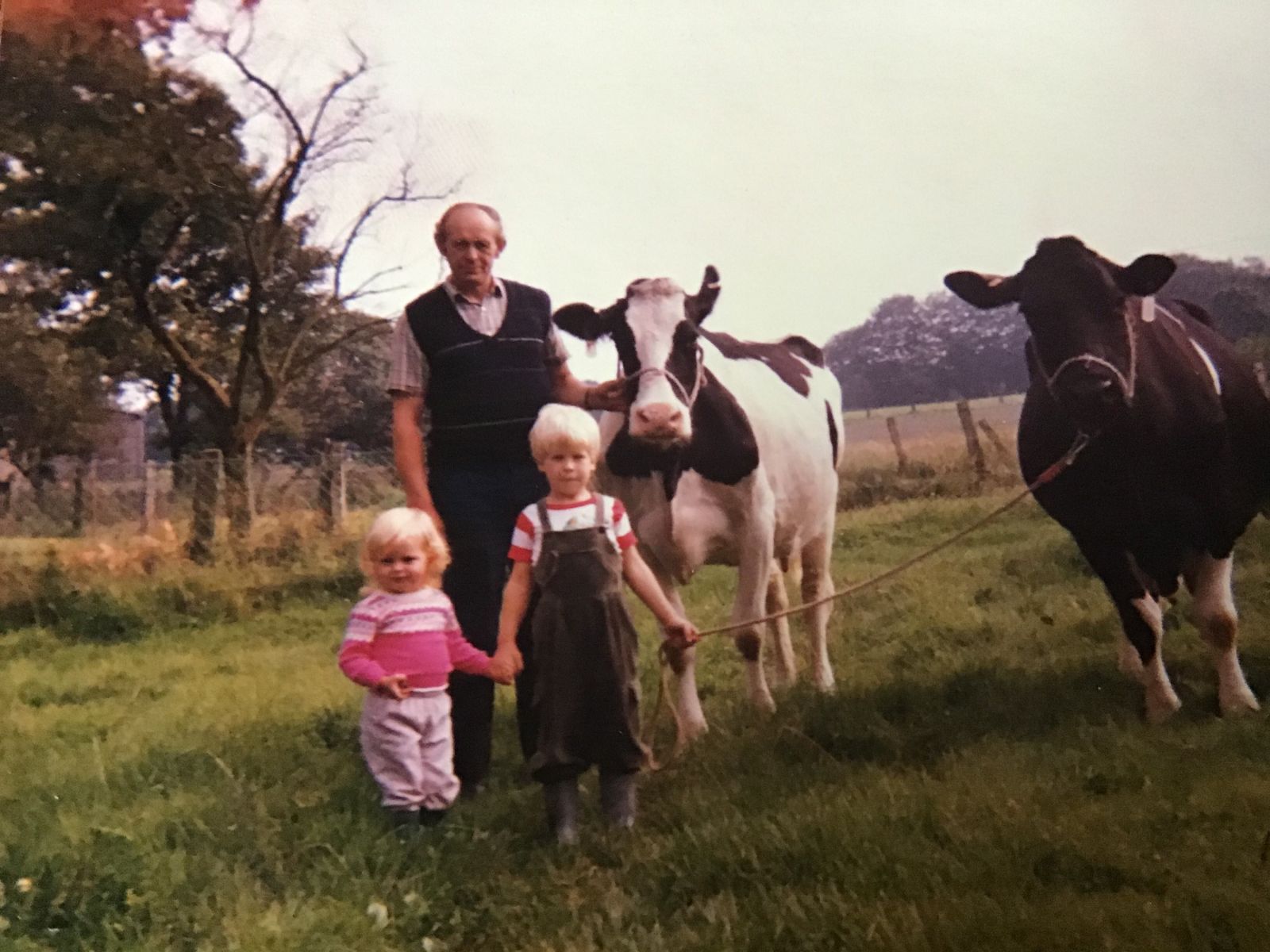 LI Pony Owner Image