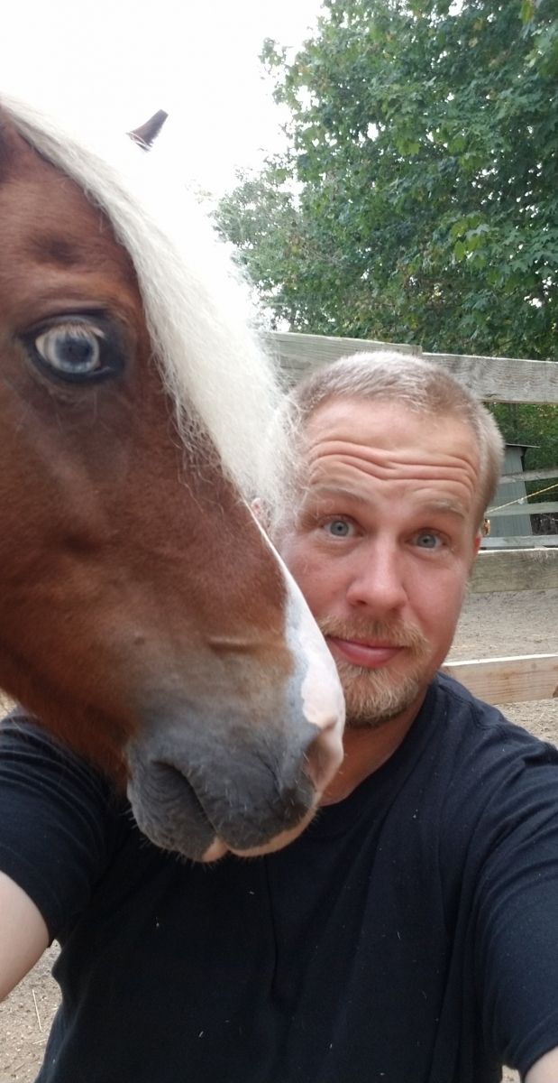 LI Pony Owner Image