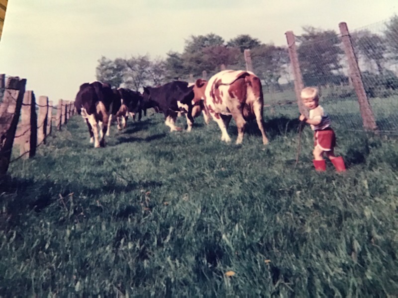 LI Pony Owner Image