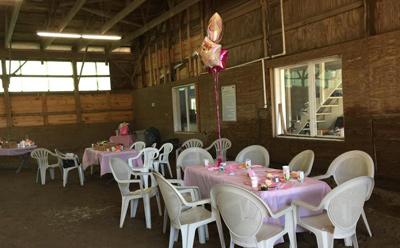 Long Island Pony Parties & Petting Zoo Images